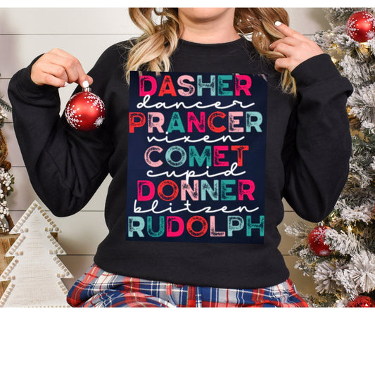 Reindeer Names Graphic Shirt